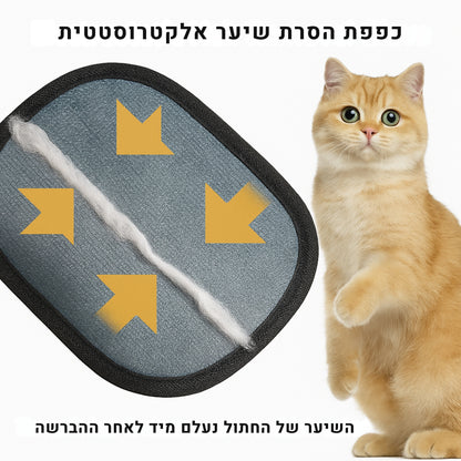 כפפת הסרת שיער לחיות – מנקה שיער כלבים וחתולים ElectroClean Mela Haven