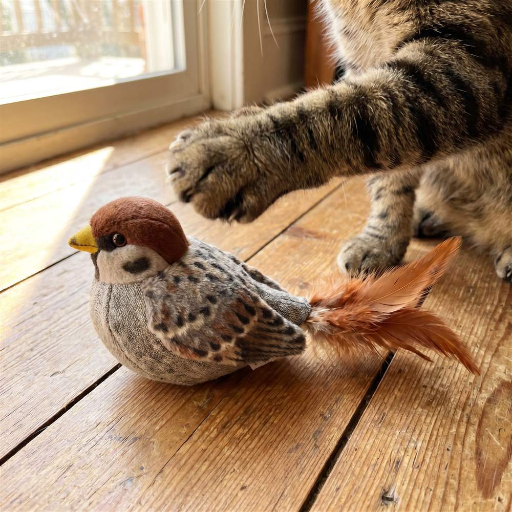 Chirping Bird Cat Toy